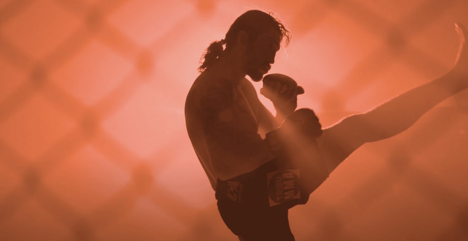 fighting-shadows 2